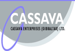 cassava icon