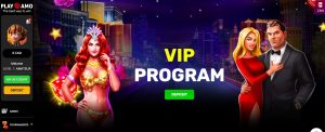 PlayAmo Casino VIP Program